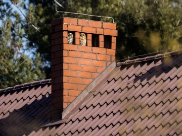 Wiosenny monitoring w Przedborskim Parku Krajobrazowym 2026., 